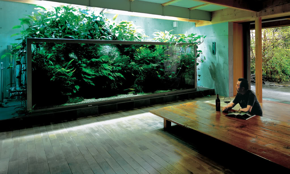 mies katsomassa valtavaa akvaarioasennusta